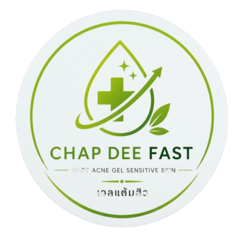 CHAP DEE FAST logo